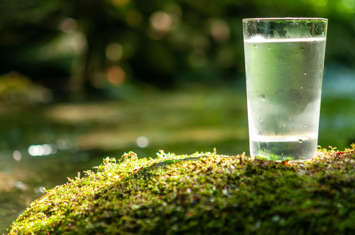 Das Lebenselexier Wasser oder der Ursprung allen Lebens